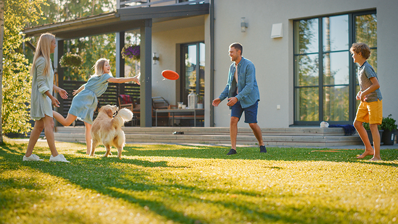 A family playing frisbee in a yard.